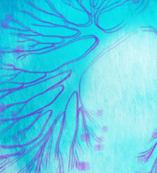 La isla de la abundancia