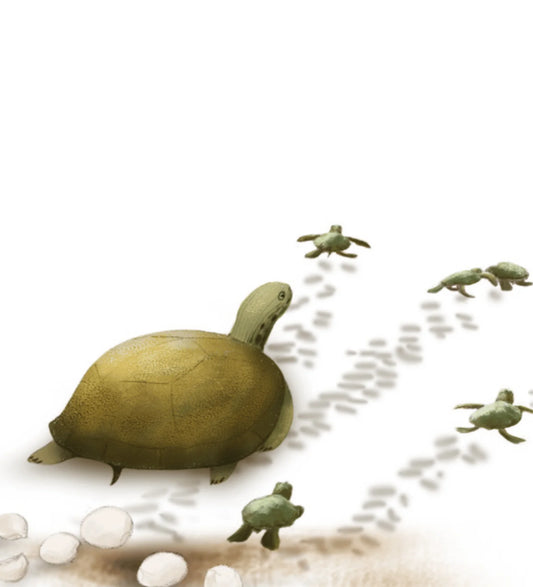 La diversidad en los animales