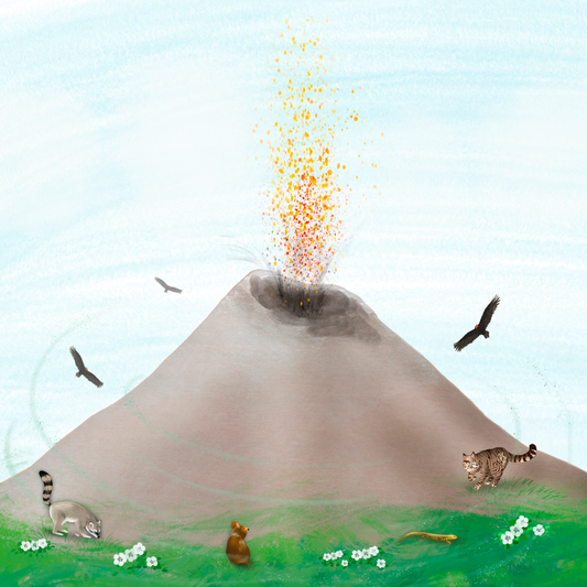 Experimentos científicos